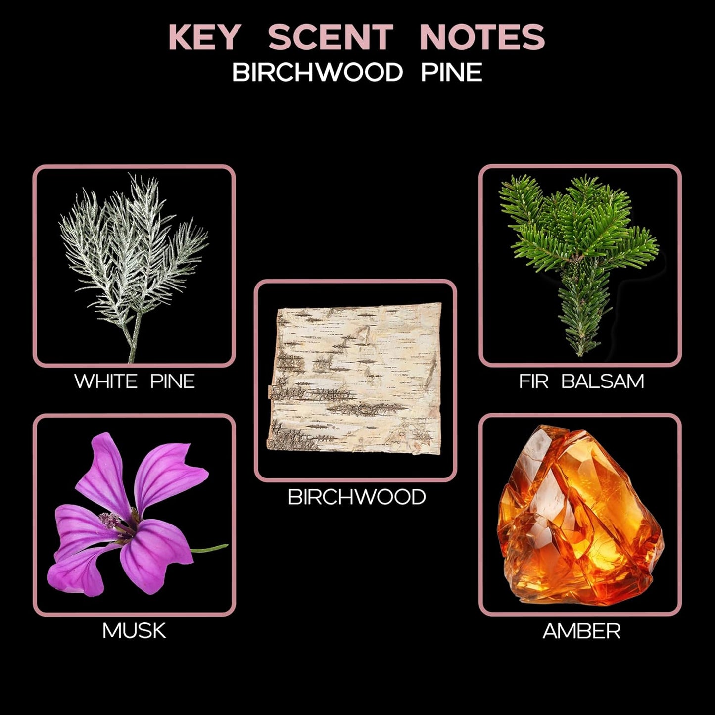 LOVSPA Reed Diffuser Set, Birchwood Pine Scented Oil Diffuser with Sticks, Home Fragrance Accessories for Bathroom Shelf Decor, Aroma Diffusers for Home or Office Desk, USA Made