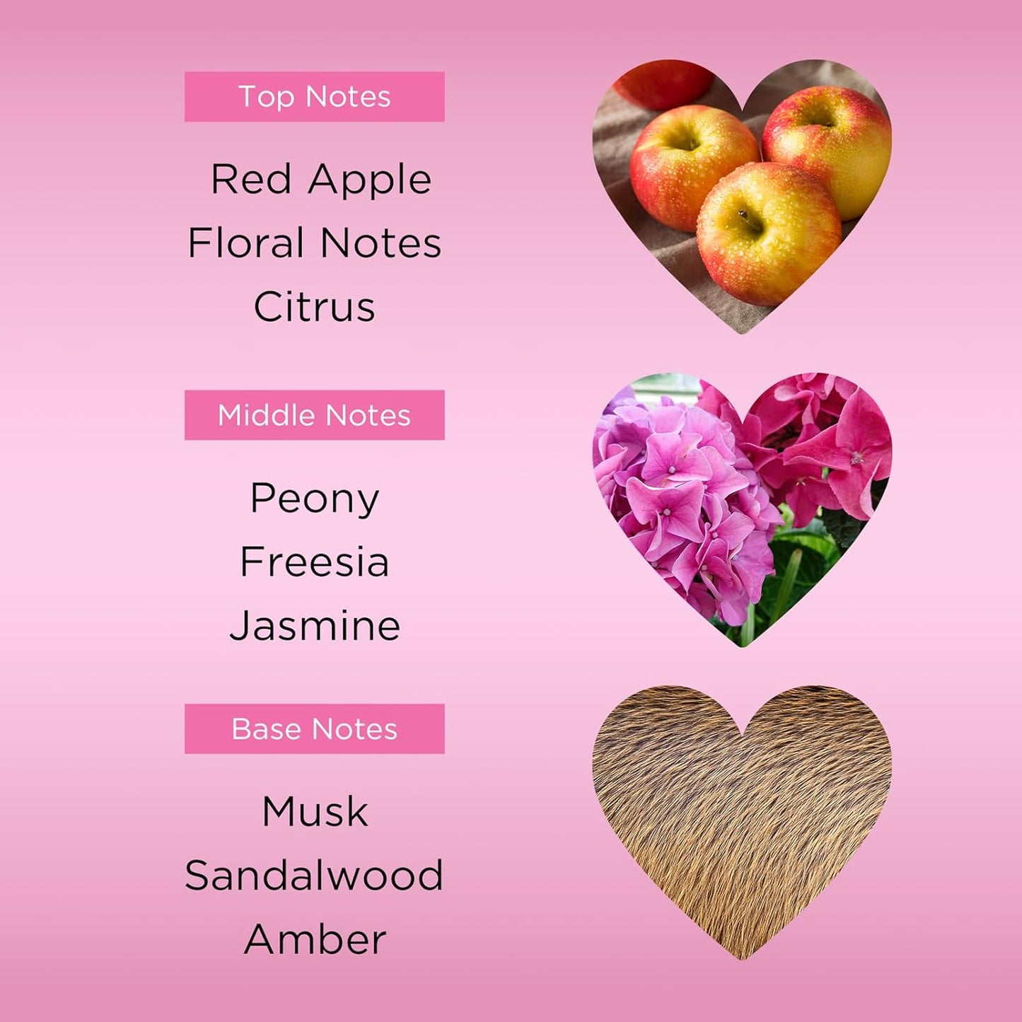 Bebe Sheer Body Mist - Body Spray for Women - Sensual and Flirtatious Womens Fragrance with Citrus Cocktail, Pink Peony and Sandalwood Notes - 8.4 oz