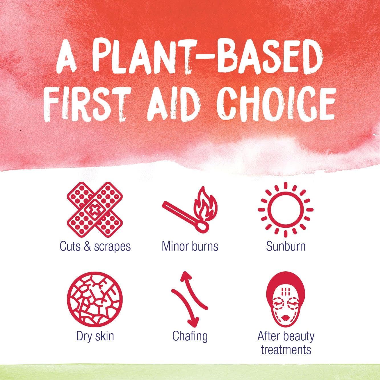 Boiron Calendula Cream for First Aid, Minor Burns, Cuts, Scrapes, Insect Bits and Sunburn - 2.5 oz