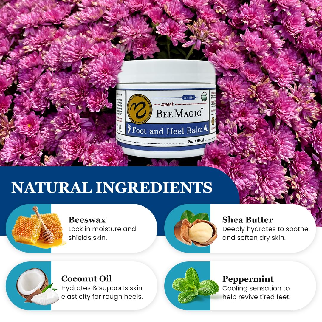 Sweet Bee Naturals Organic All Natural Foot and Heel Balm 3 (2 OZ Jars). For Dry and Cracked Feet Repair. Organic Salve Moisturizer for Heel Care & Callus Treatment. Made in USA. 3 Jars (6 OZ)