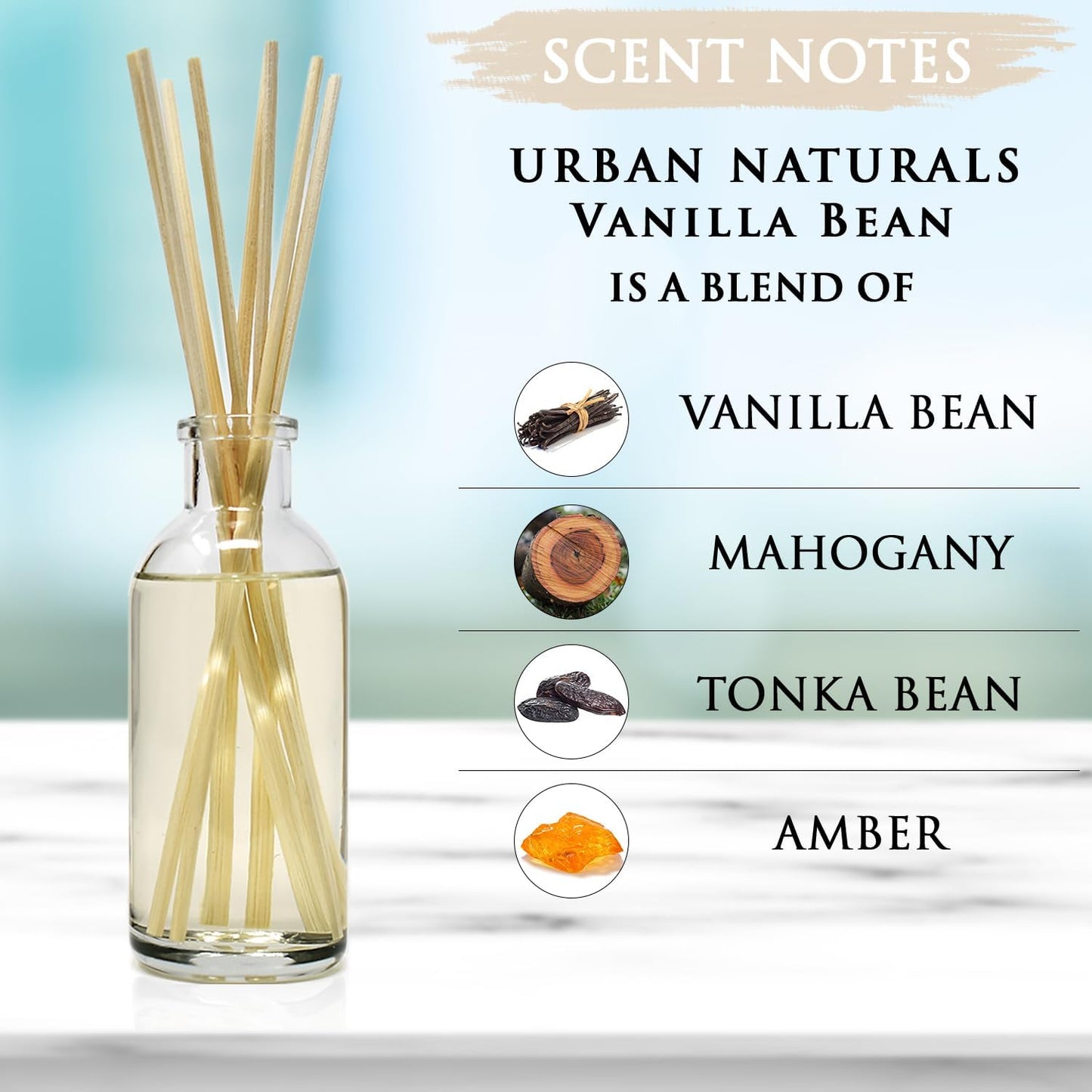 Urban Naturals Vanilla Bean Scented Oil Reed Diffuser Gift Set | Vanilla Cream, Amber & Sweet Tonka Bean | Made in The USA