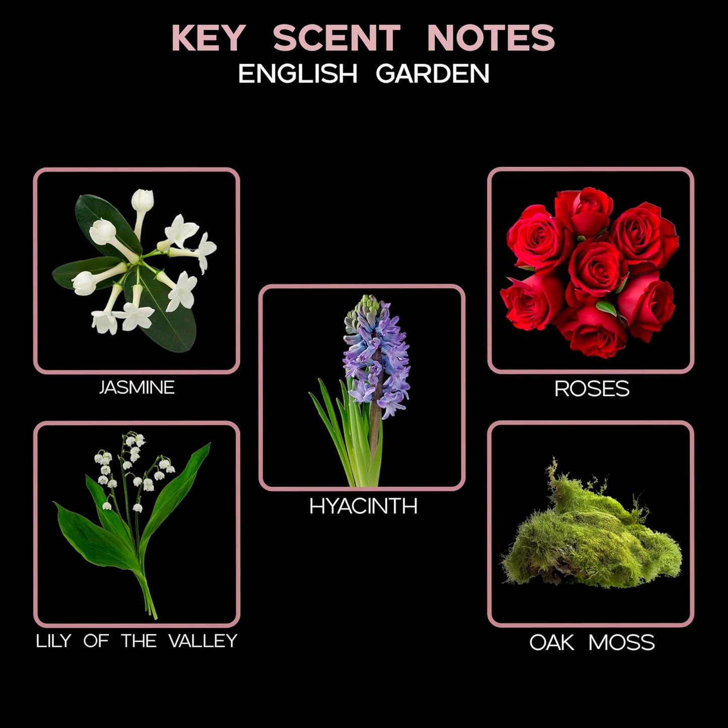 LOVSPA Reed Diffuser Set, English Garden Scented Oil Diffuser with Sticks, Home Fragrance Accessories for Bathroom Shelf Decor, Aroma Diffusers for Home or Office Desk, USA Made