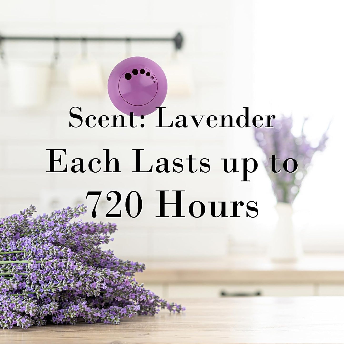 Knixmax Shoe Deodorizer Balls, Boot Deodorizing Shoe Odor Eater Ball Sneaker Deodorants, Gym Bags Lockers Car Air Fresheners, 6 Packs Lavender Purple