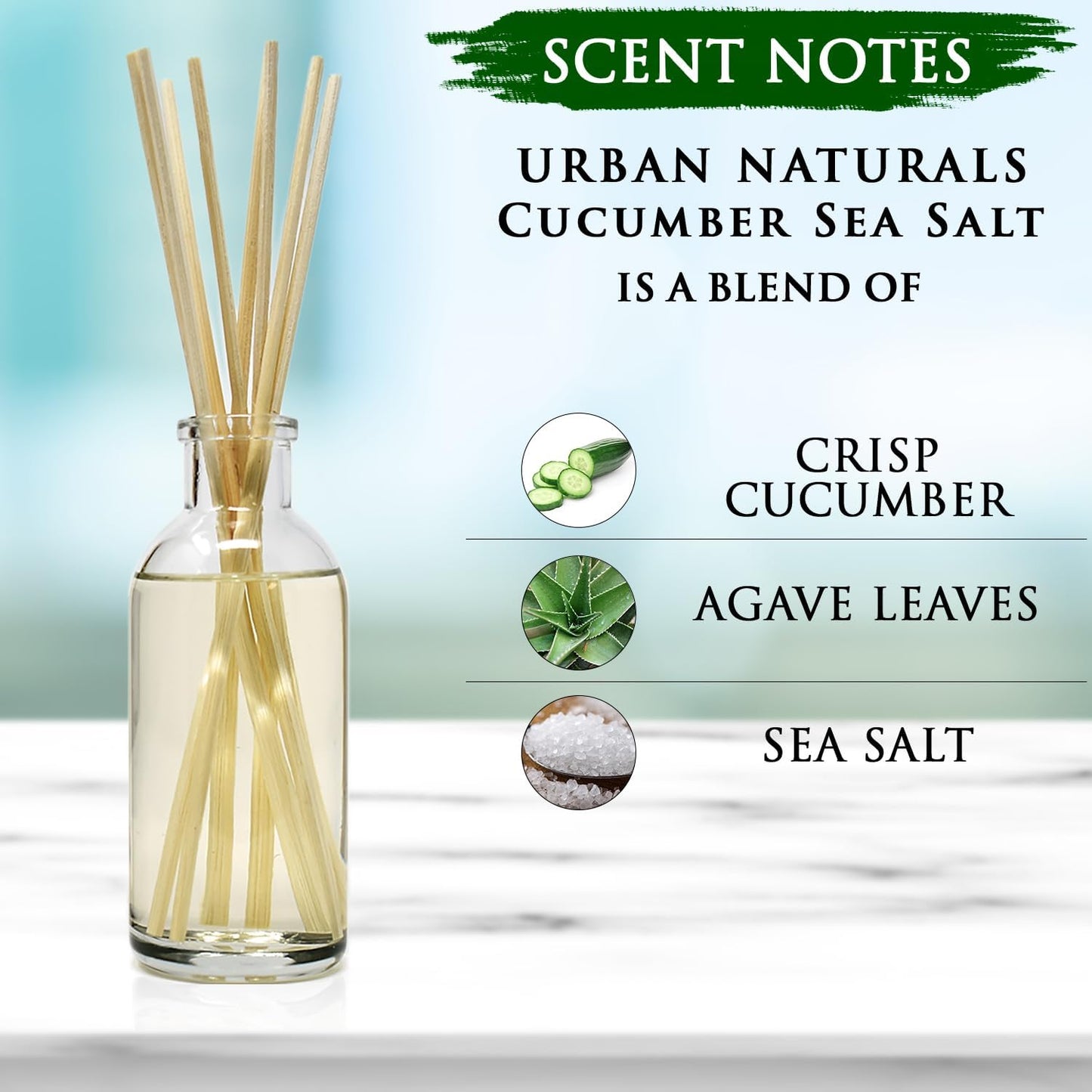 Urban Naturals Cucumber Sea Salt Reed Diffuser Set | Fresh, Crisp Cucumber, Agave Leaves & Sea Salt | Essential Oil Room Scent Kit with Reed Sticks | Made in The USA | A Great Home Gift Idea