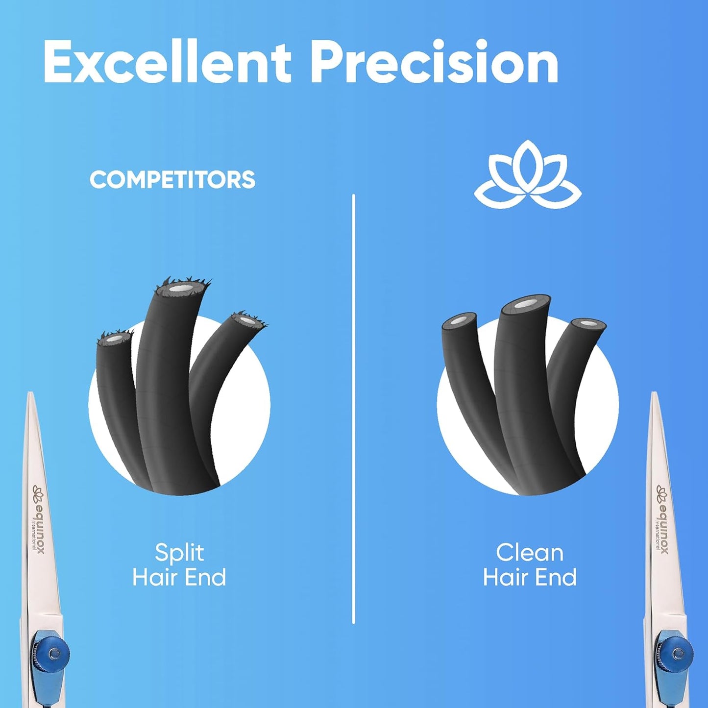 Equinox Razor Edge Series Professional Hair Scissors - 6.5” Premium Japanese Stainless Steel Hair Cutting Scissors, Hair Shears, Hair Razors for Hair Cutting, Barber Accessories & Hair Salon Supplies