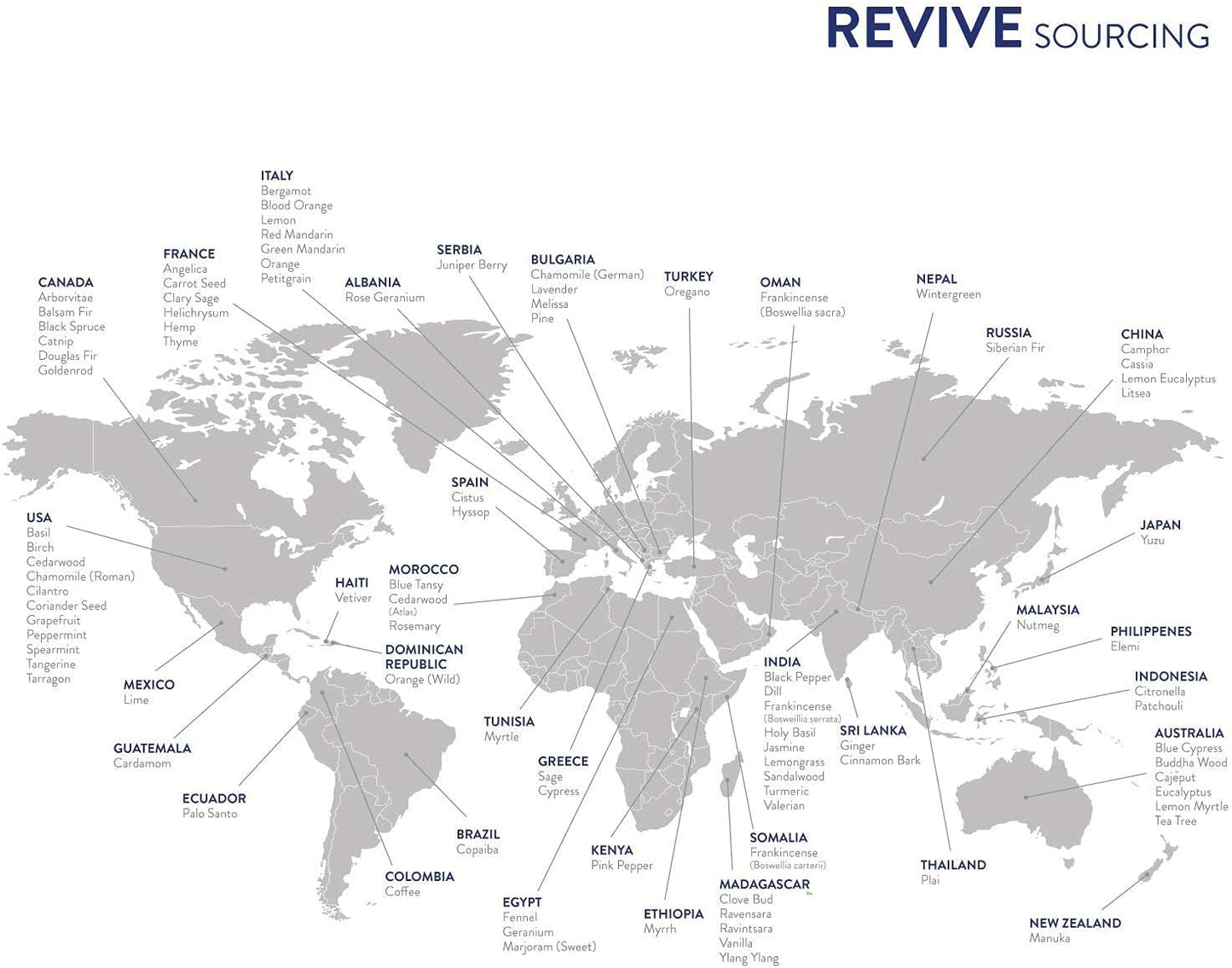 Clove Essential Oil by Revive Essential Oils - 100% Pure Therapeutic Grade, for Diffuser, Humidifier, Massage, Aromatherapy, Skin & Hair Care