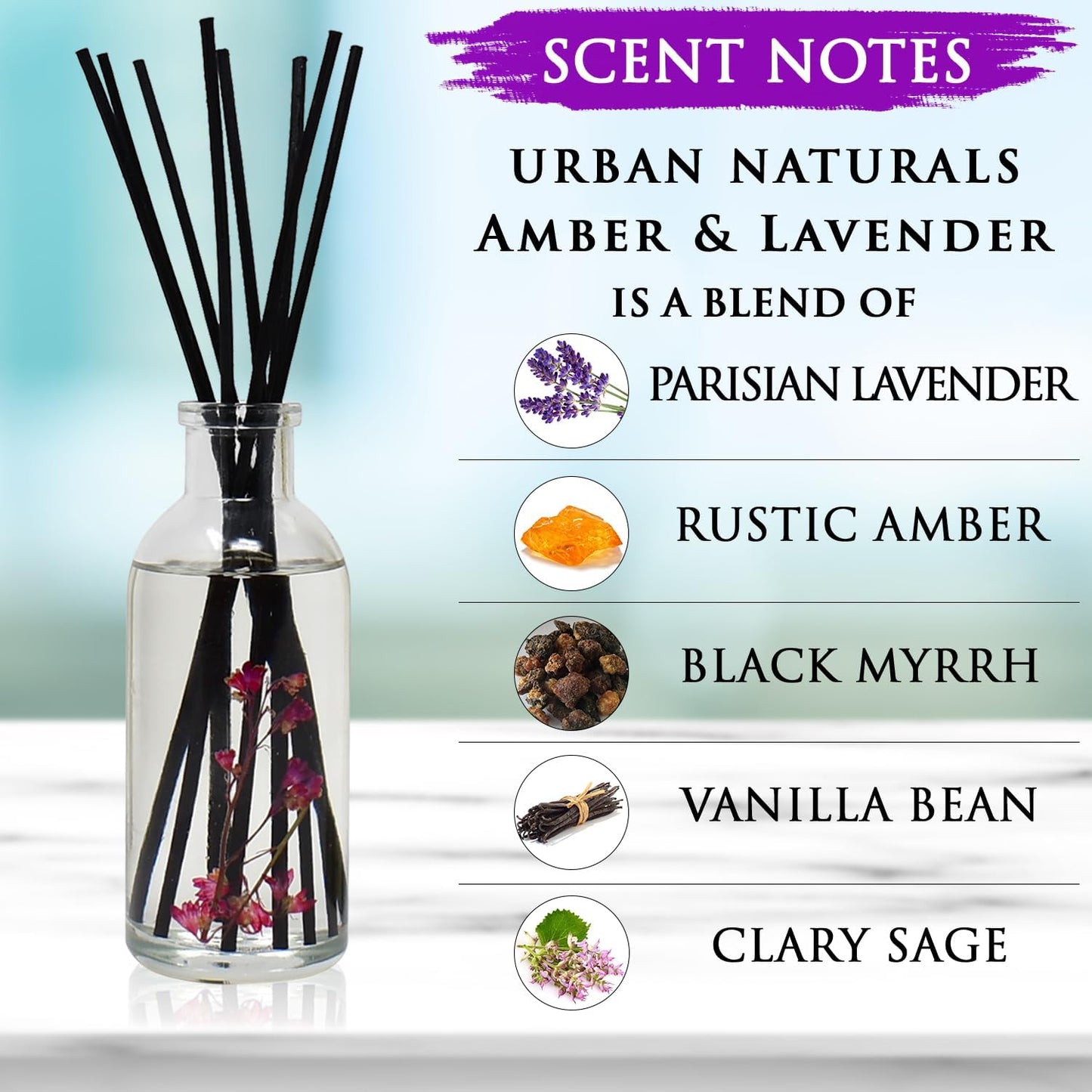 Urban Naturals Amber & Lavender Reed Diffuser Scented Sticks Set | (Awaken + Renew) Mind & Body Aromatherapy Collection | Essential Oil Botanical Diffusing Room Scent