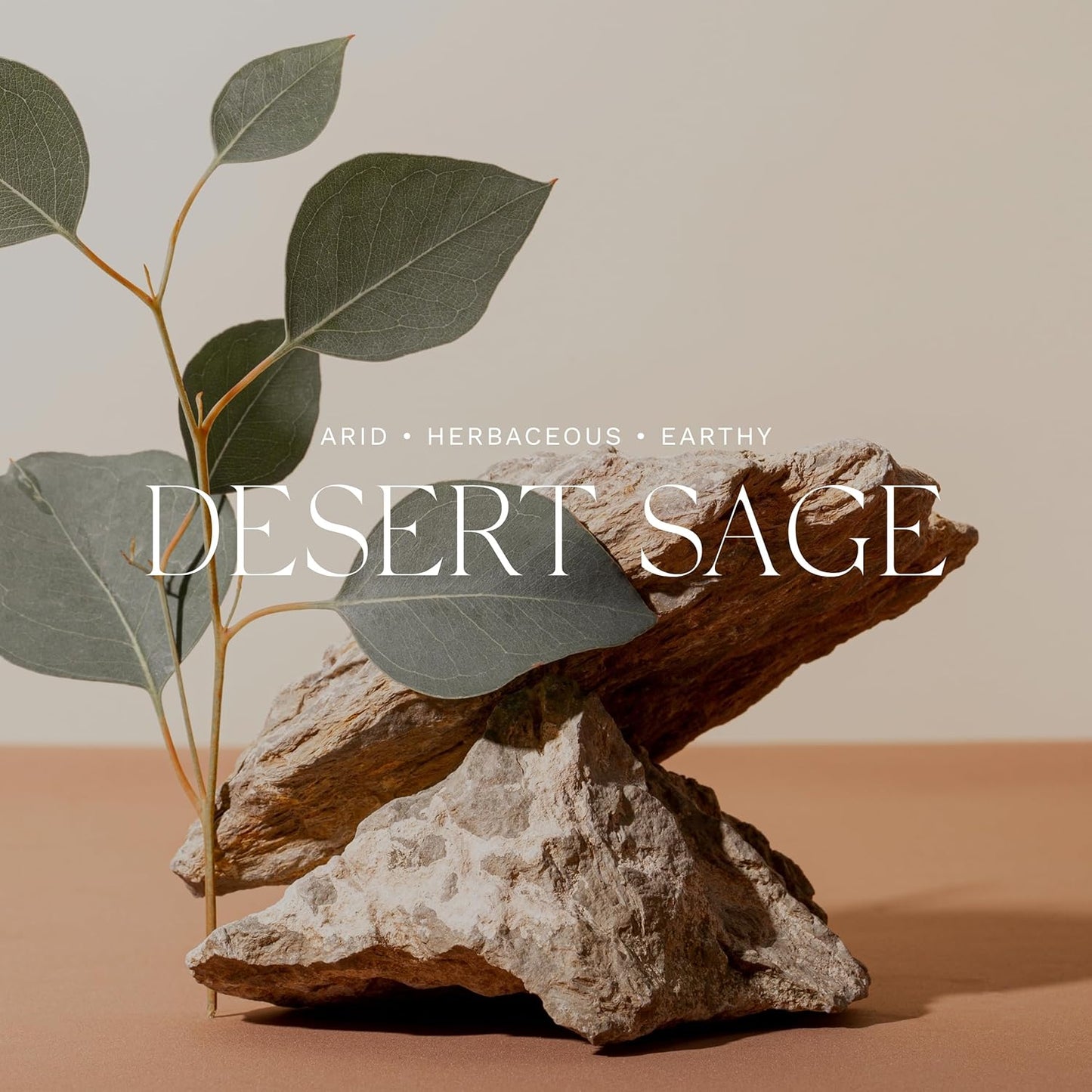 Antica Farmacista Hand & Body Wash - Luxury Nourishing Body Wash - Hydrating Hand Cleansing Wash - Bath & Body Gift - Desert Sage, 10 fl oz