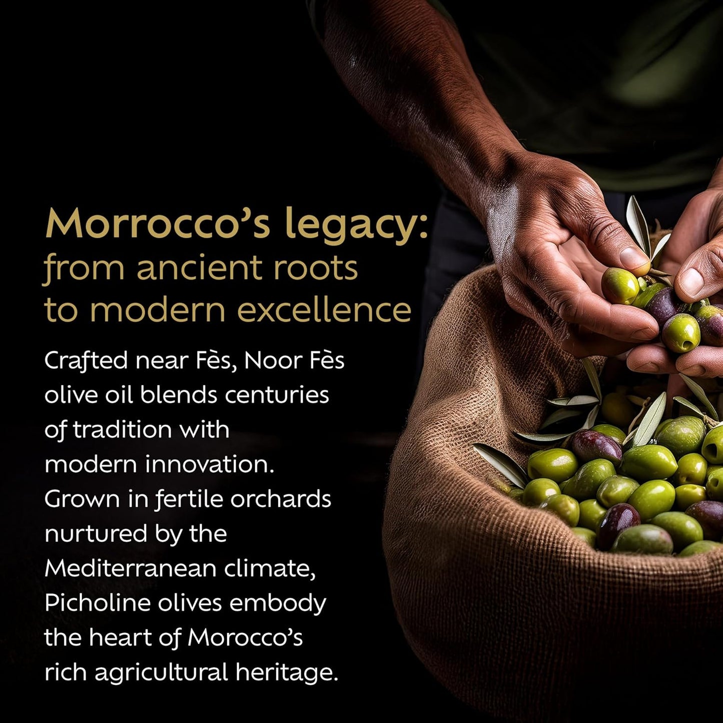 NOOR FÈS 20+ Awards EVOO | Polyphenol Rich 584 mg/kg | USDA Organic Extra Virgin Olive Oil | Moroccan Picholine | Cold Pressed Olive Oil | Great Gift for Chefs | 17 Oz