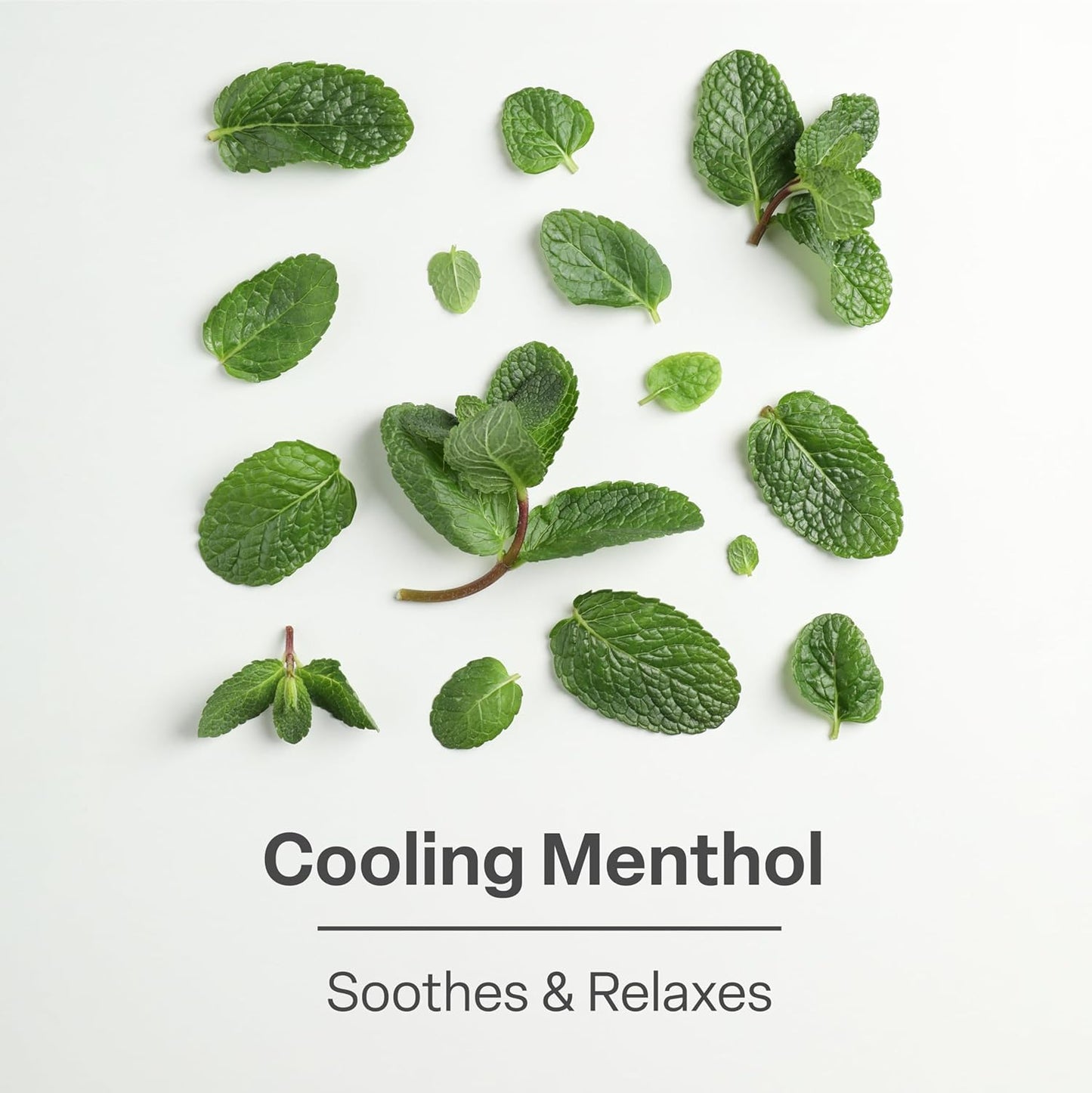 QRxLabs Shea Foot Cream 4 oz - Hydrating & Cooling Formula with 15% Shea Butter, Spearmint, Vitamin E, Glycolic Acid - Non-Greasy, Quick-Absorbing, Paraben-Free - Repair Dry, Cracked Feet