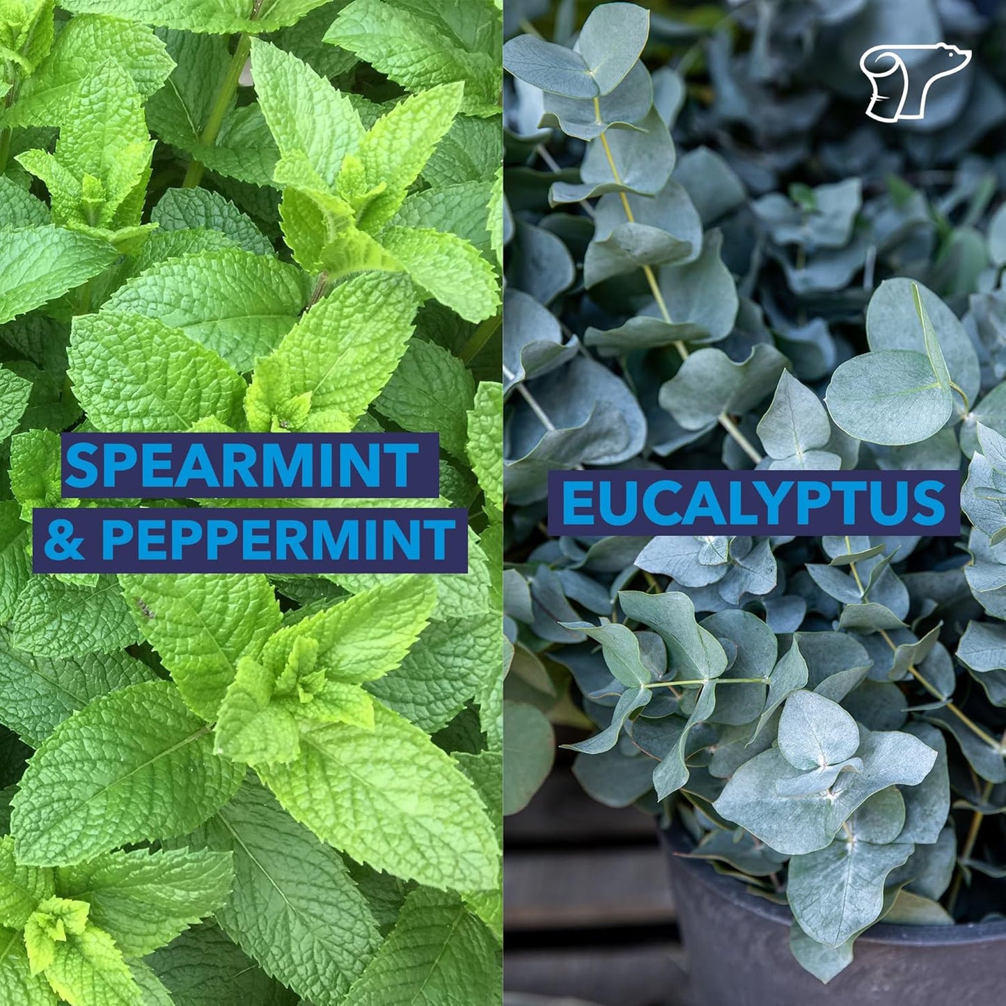 TheraICE Soothing Head Stick 10 ml (.33-Oz) Essential Oil Roll on Aromatherapy: Peppermint, Spearmint, Lavender, Chamomile, Rosemary, Eucalyptus. Metal Roller. USA Made