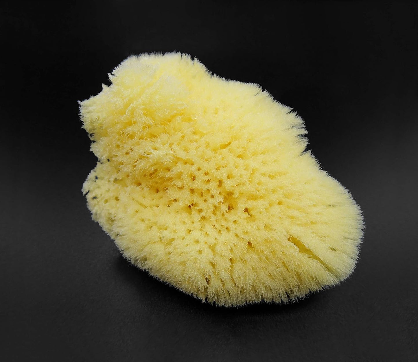 Natural Sea Silk Sponges 12pk: Size 9pc x1.5-2.5" 3pc x 2.5"-3", Like Cotton Balls, for Cosmetic Use, Makeup Application & Removal, Face & Eye Cleaning, with Luxury Gift Bag by Constantia Beauty®