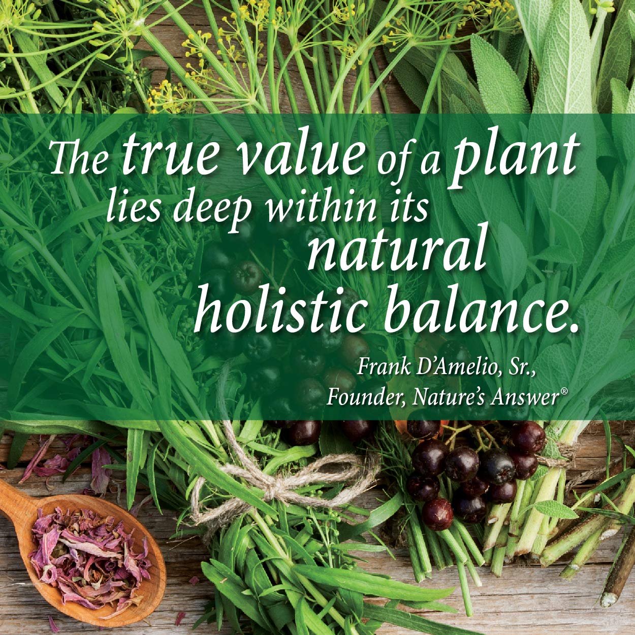 Natures Answer Periobrite Mouthwash 16 oz | Whitens Teeth | Freshens Breath | Removes Plaque | Minimizes Dry Mouth