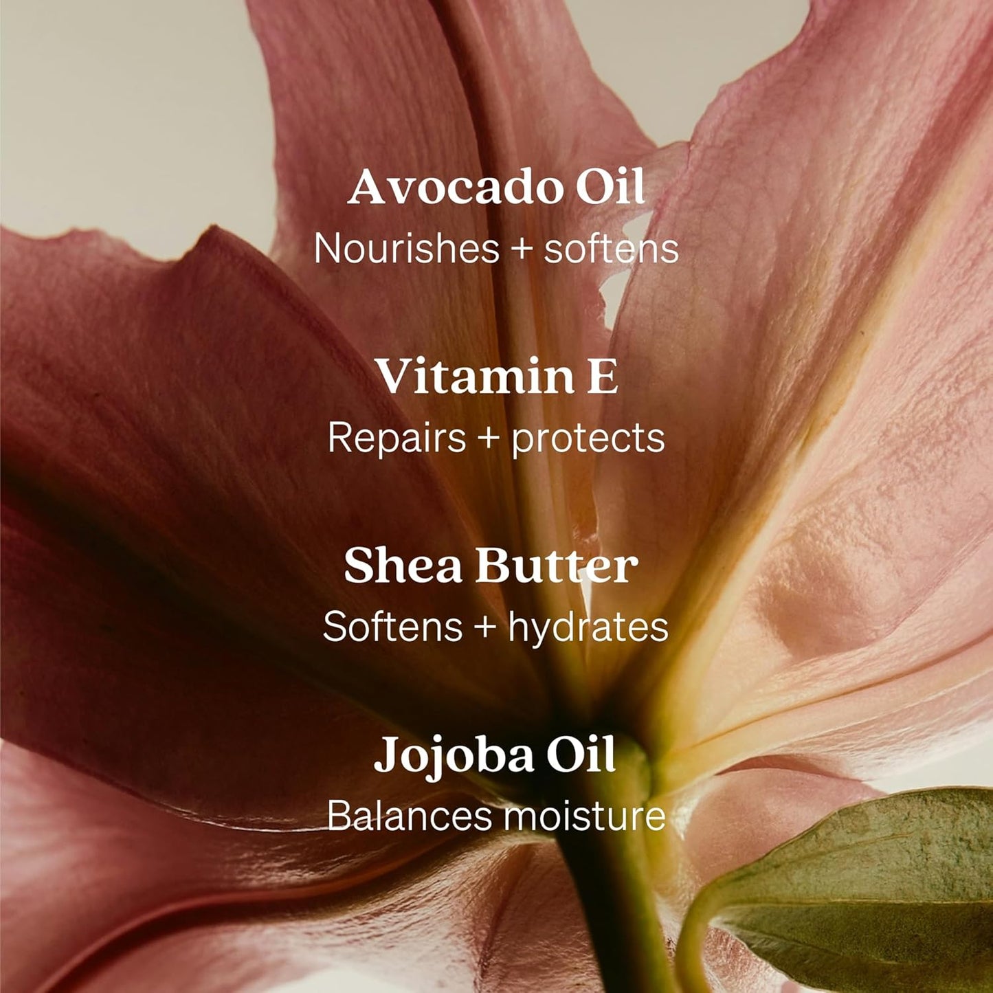 Loved01 Hand Wash, Just Because Liquid Hand Soap, Gentle & Hydrating, Cruelty-Free, Formulated with Nourishing Oils & Soft Floral Scent, 15 oz