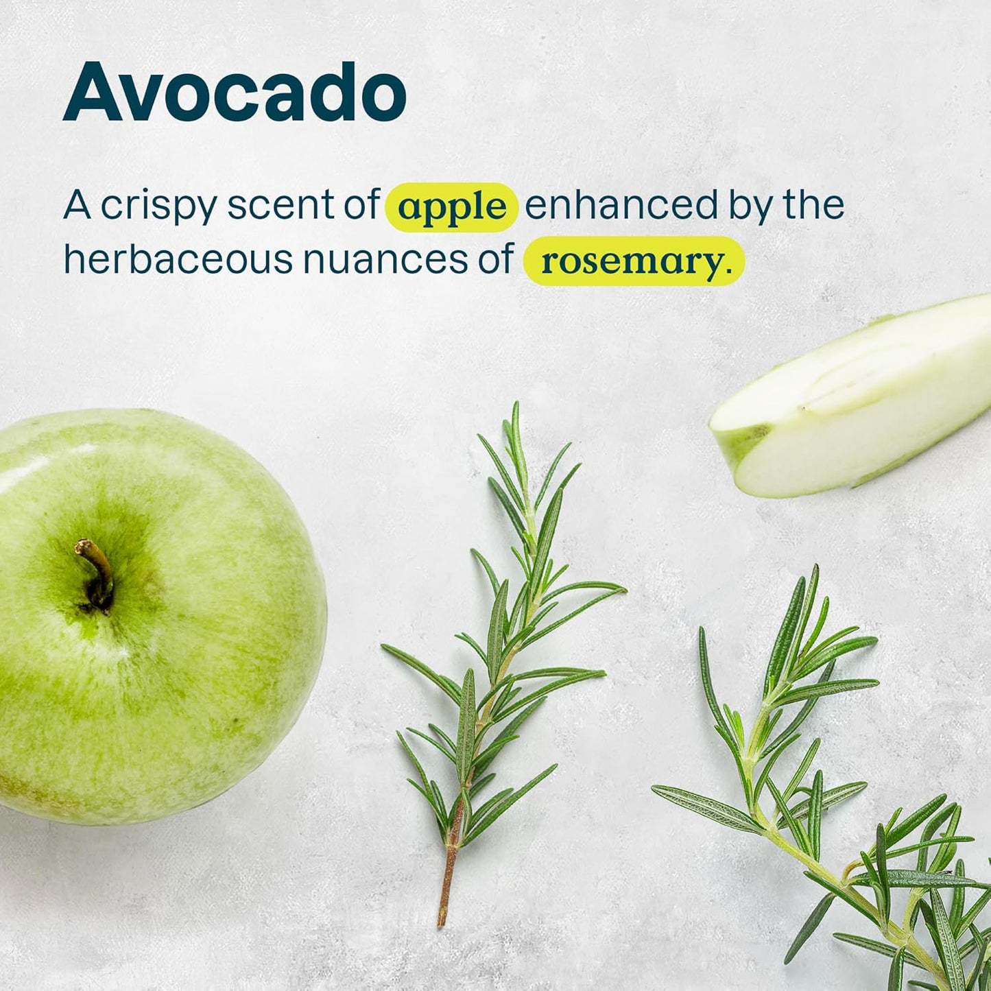 ATTITUDE Hair Conditioner for Sensitive Dry Scalp, Dry and Damaged Hair, Soothing Oat, Naturally Derived Ingredients, Dermatologically Tested, Vegan Detangler, Nourishing, 8 Fl Oz