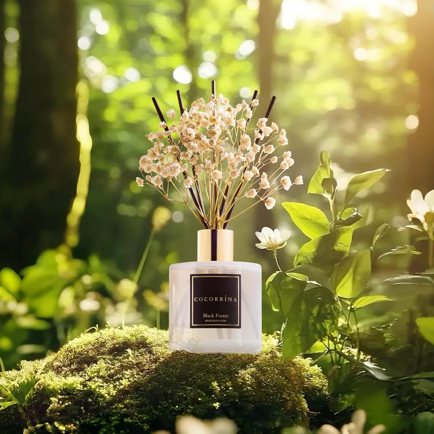 Cocorrína Reed Diffuser Sets, 6.7 fl oz. Black Forest Diffuser with Sticks Home Fragrance Reed Diffuser for Bathroom Shelf Decor