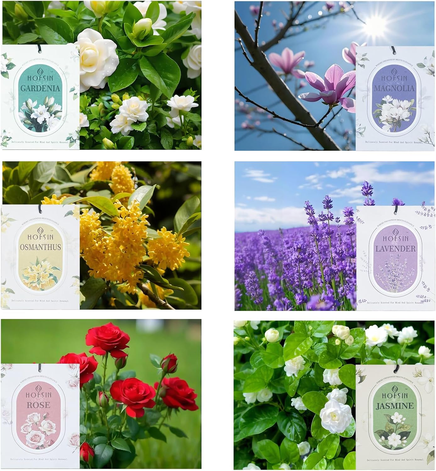 12 Packs Fragrance Bags with Hanging Strings, Air Freshener Deodorizer for Closet and Drawer,6 Scents Option- Lavender,Magnolia,Jasmine,Rose,Osmanthus,Gardenia (Osmanthus)
