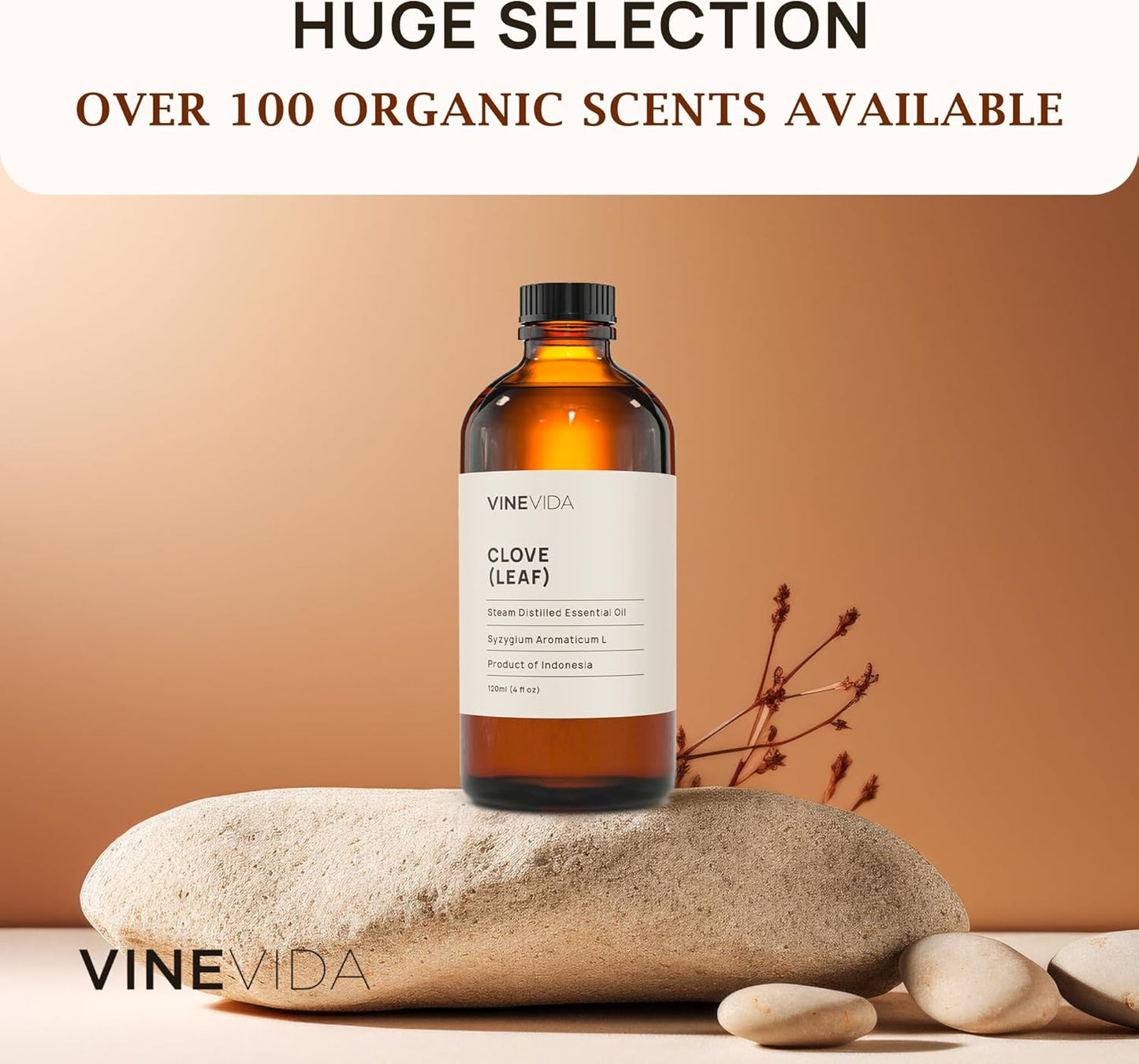 VINEVIDA Clove Essential Oil 4 oz - Undiluted, Clove Candle Oil Scent for DIY Candlemaking & Soap Making (Safe for Skin)