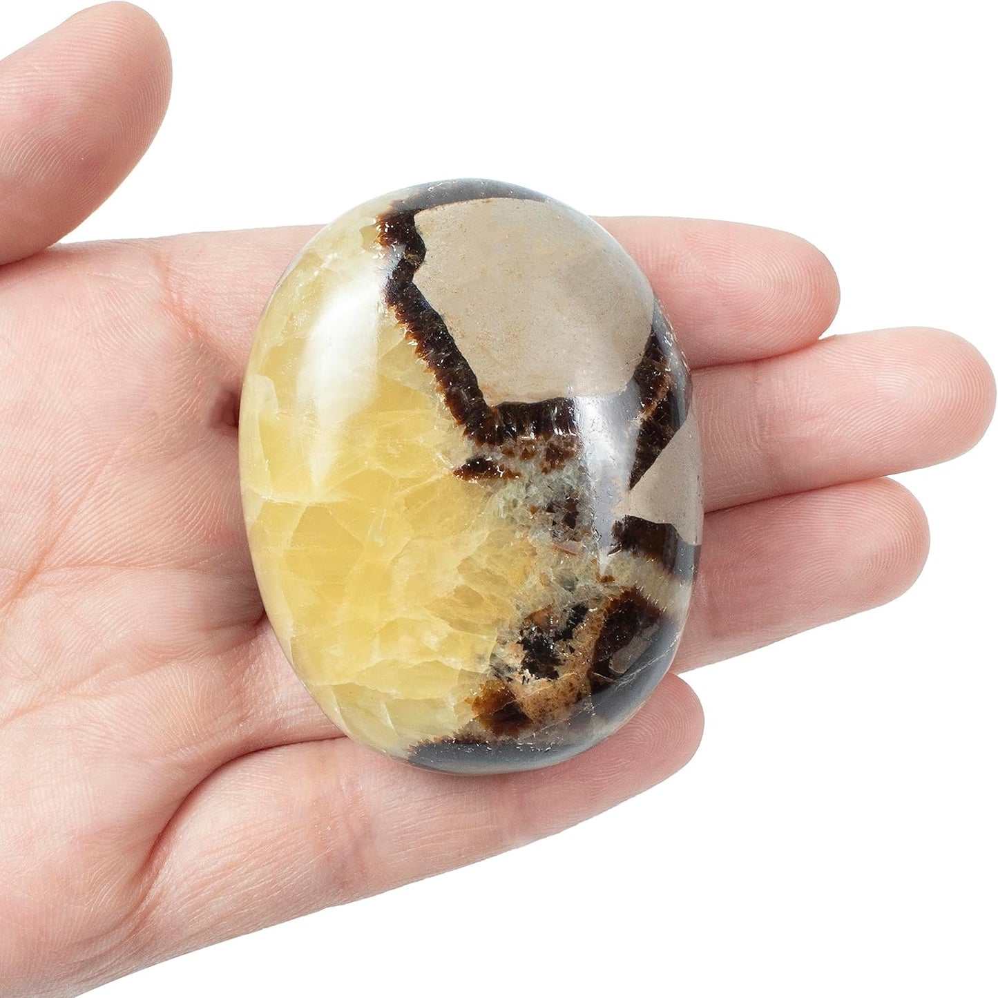 Crocon 50mm Septarian Large Palm Stone 900+ Carats Pocket Worry Stones for Natural Chakra Balancing Reiki Healing Stones and Crystal Healing Spa Energy Crystals Gifts for Women