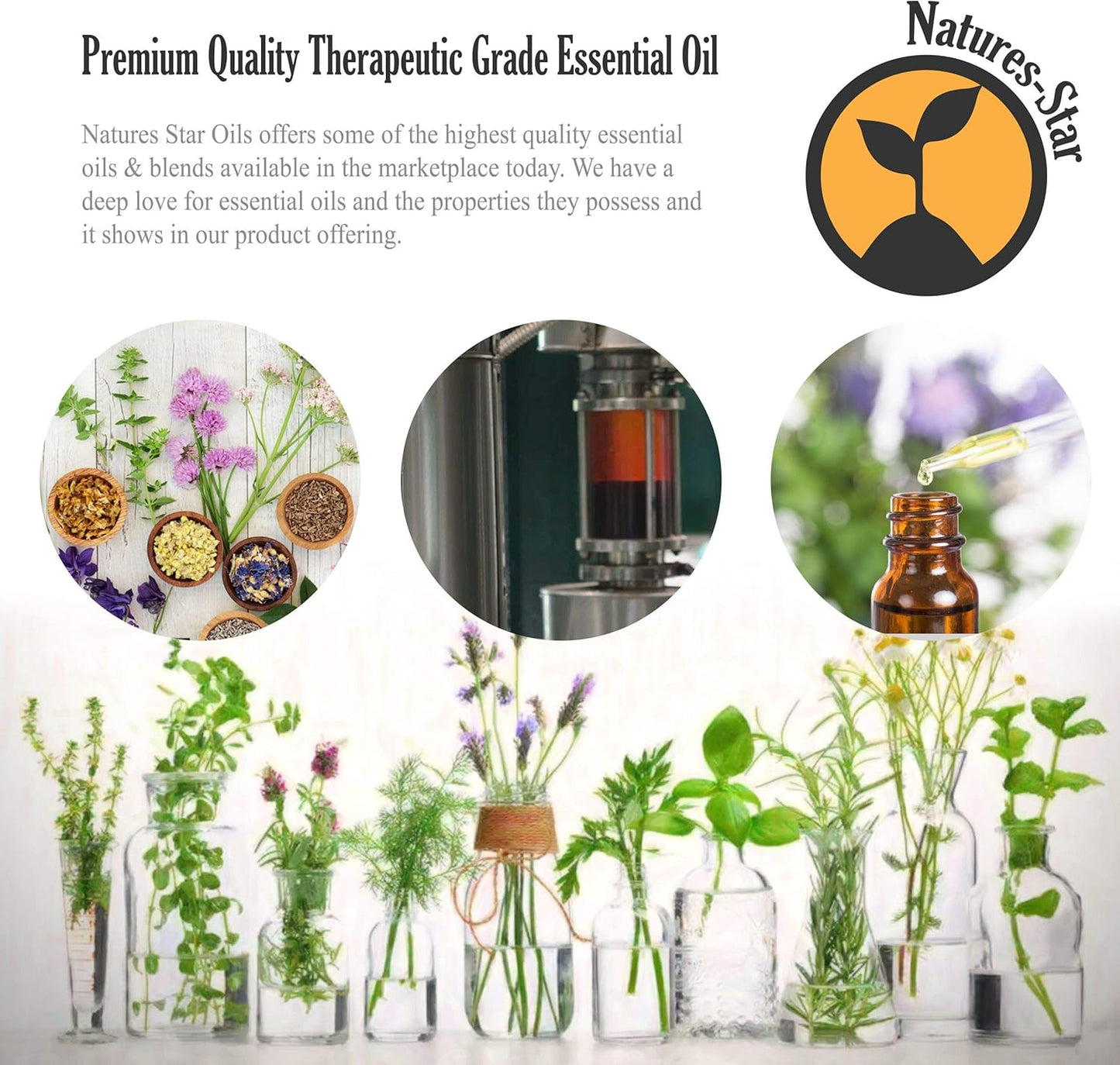 2 Pack 16oz Bulk Size Tea Tree Essential Oil - (32 Ounce Total) - Therapeutic Grade Essential Oil - 16 Fl Oz Tea Tree Oil Bottles - Bulk Tea Tree Oil - Bulk Essential Oils