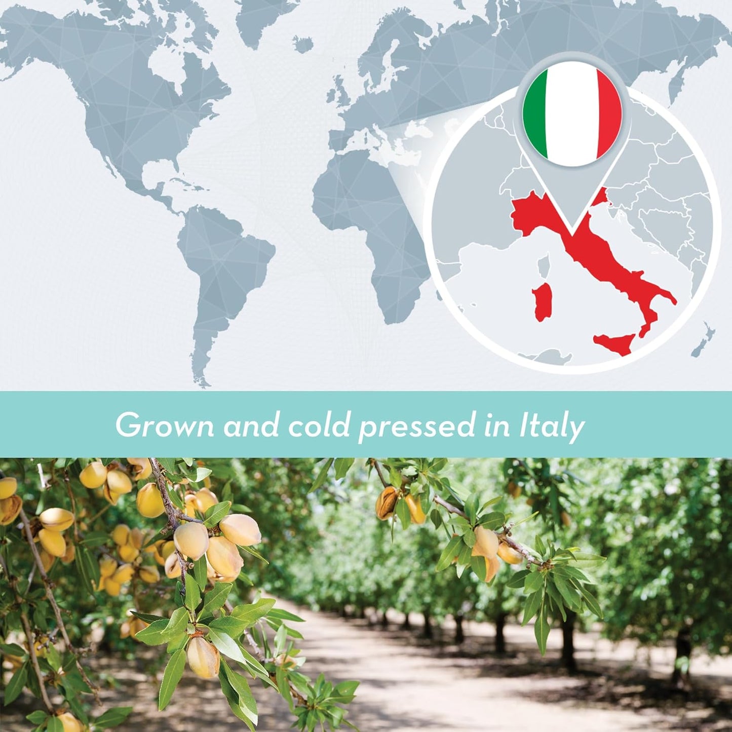 Bulk Sweet Almond Oil - Large 1 Gallon Jerrican, Cold Pressed 100% Pure - Moisturizer for Skin, Hair, Body, Carrier Oil for Massage Oils - by DIYBeauty