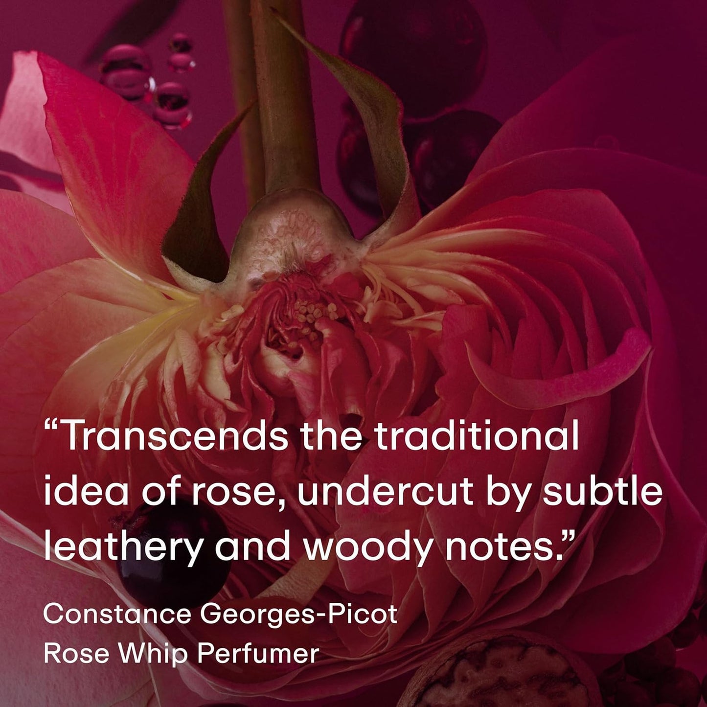 PHLUR Rose Whip Eau de Parfum - Travel Size Perfume - Woody Floral Perfume with Rose, Black Currant, Pink Pepper, Nutmeg, Cashmere Wood & Musk (9.5mL)