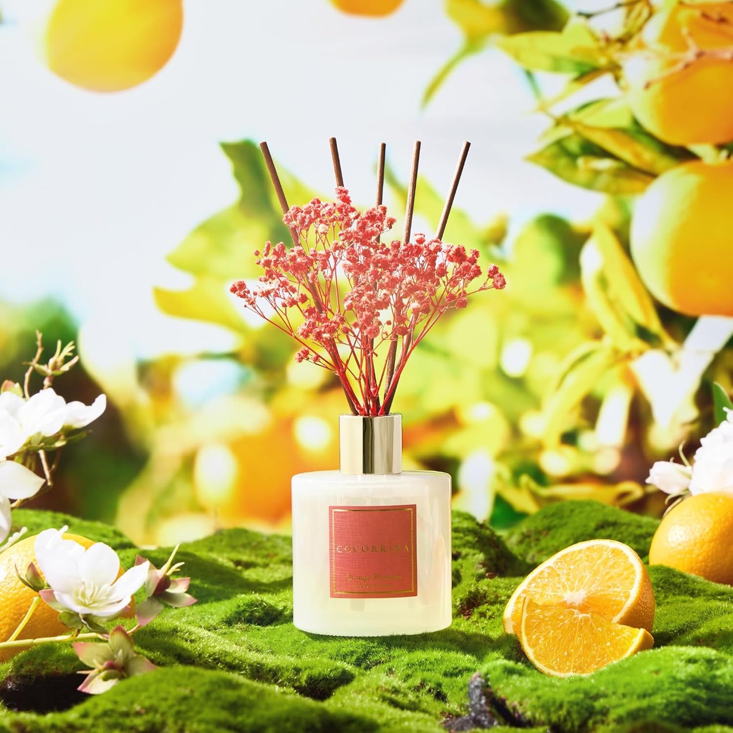 COCORRÍNA Reed Diffuser - Orange Blossom 6.76 Fl.oz Reed Diffuser Sets with Preserved Flowers, Diffuser with 8 Sticks for Bathroom Shelf Decor