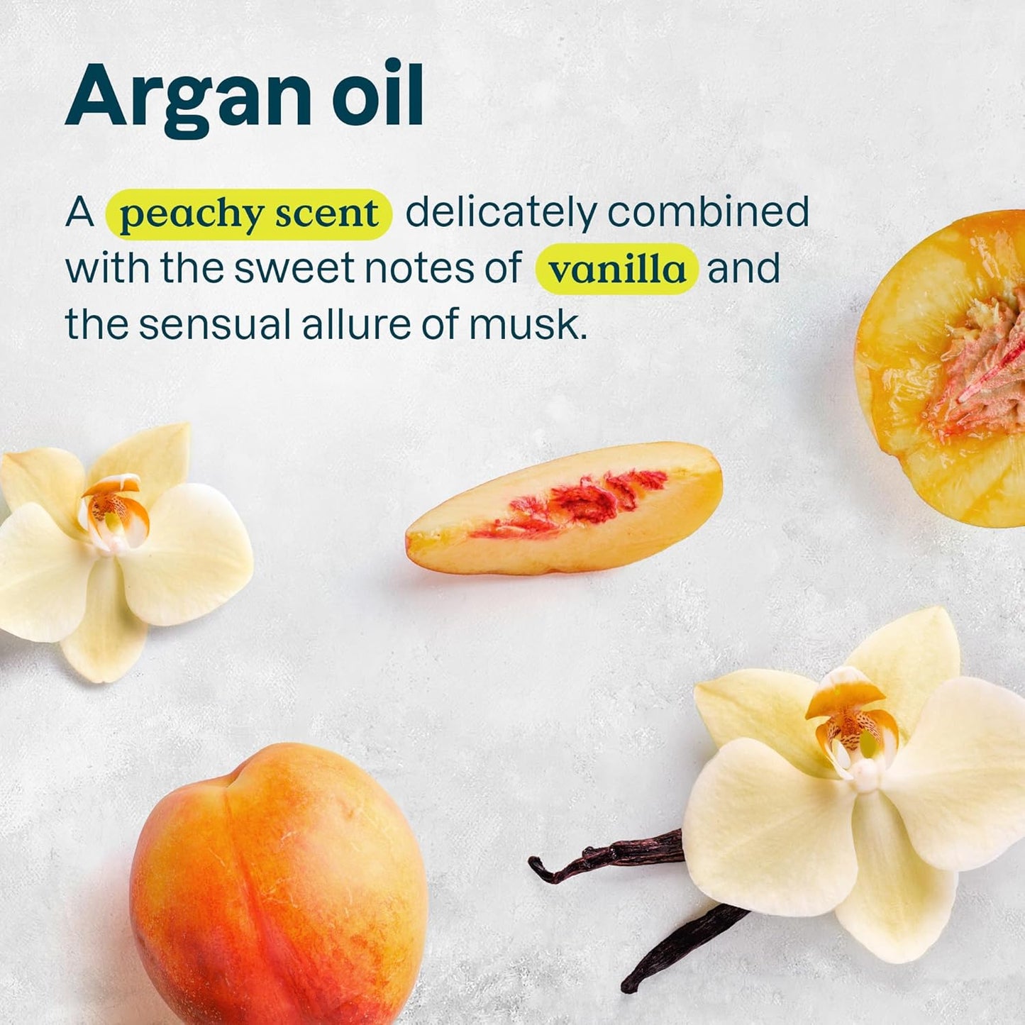 ATTITUDE Hair Conditioner for Sensitive Dry Scalp, Soothing Oat, Protects Color, Naturally Derived Ingredients, Dermatologically Tested, Vegan Detangler, Color Care, 8 Fl Oz (Pack of 6)