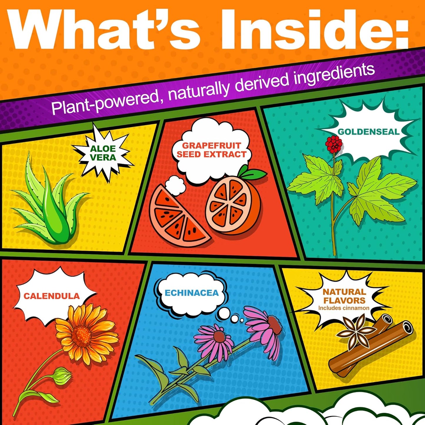 The Natural Dentist Healthy Gums Antigingivitis/Antiplaque Rinse, Adults 12 & Up, Gingivitis Mouthwash, Bleeding Gums Treatment, Safe for Chemotherapy Patients, Aloe Vera, Alcohol-free, 16.9 fl oz