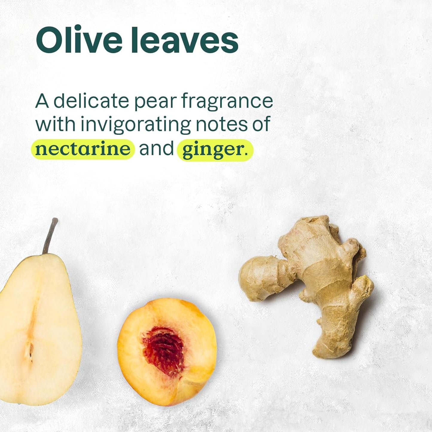 ATTITUDE Nourishing Hair Conditioner, For Dry and Damaged Hair, Naturally Derived Ingredients, Vegan Detangler, Dermatologically Tested, Grapeseed Oil and Olive Leaves, 8 Fl Oz (Pack of 6)