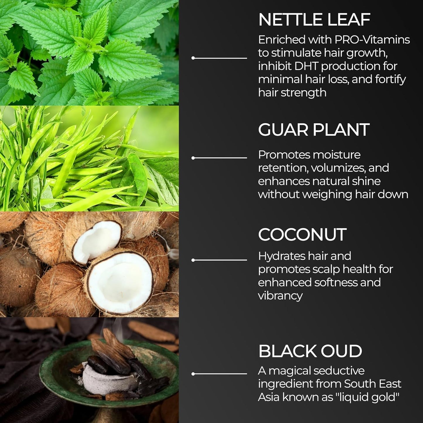 ZOUSZ Black Oud Men's Shampoo, Hair & Beard Cleaner and Strengthener, Vegan & Hypoallergenic Shampoo , 3.38 Fl Oz Hair Shampoo & Beard Wash Kit Essential