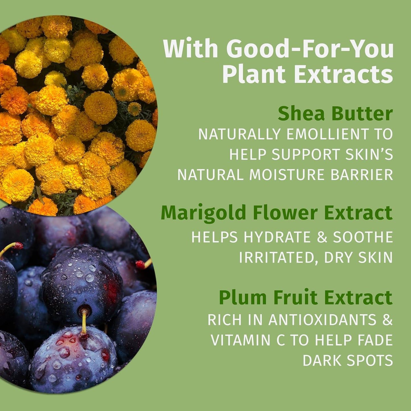 Hempz Limited Edition Vanilla Plum Hydrating Body & Hand Lotion 17 oz