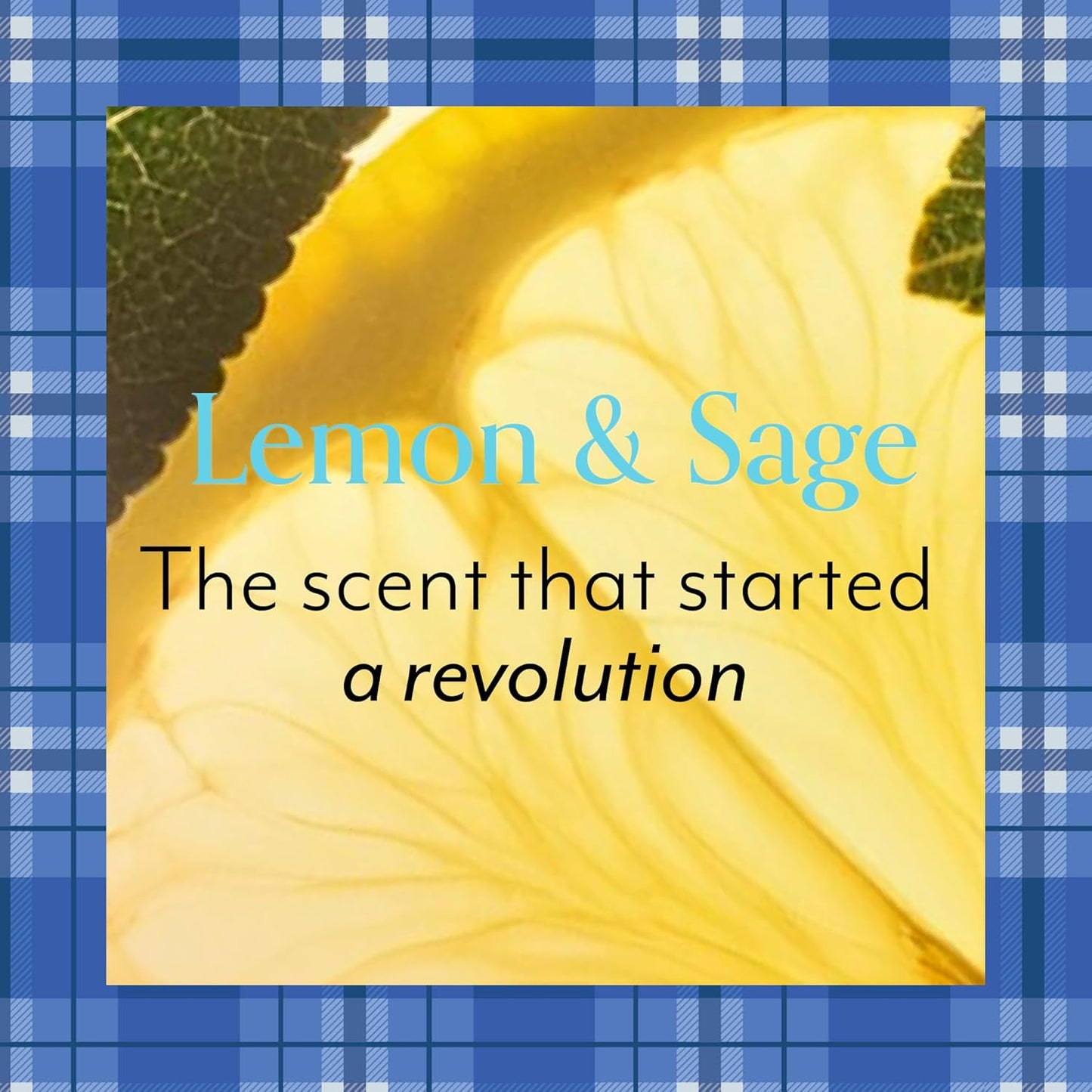 Bliss x Gilmore Girls Lemon & Sage Body Butter Maximum Moisture Cream