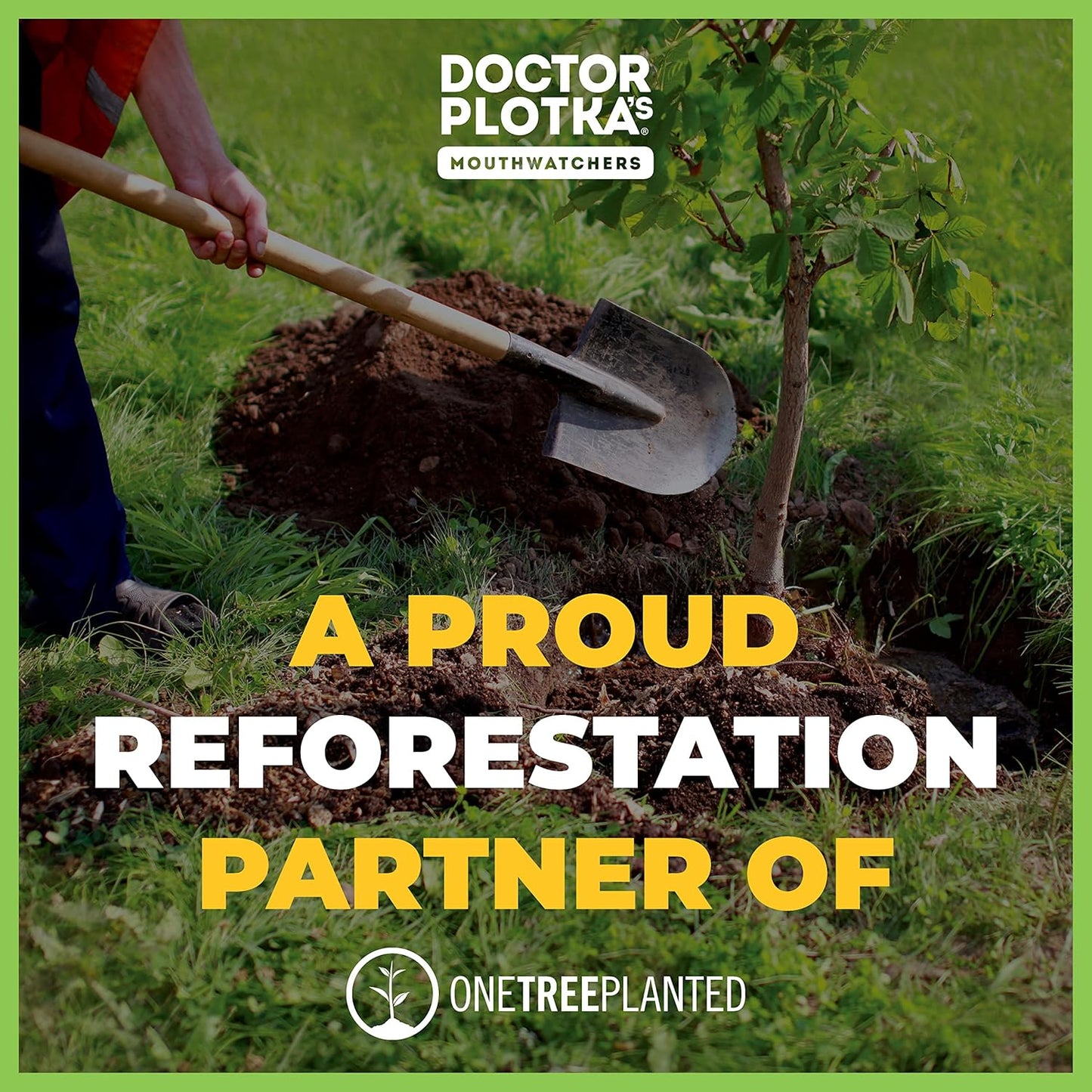 MOUTHWATCHERS Whitening Fluoride Free Naturally Sourced Toothpaste, 2 Tubes, 3 oz Each, for Sensitive Teeth and Gums, Organic, SLS Free, Fresh Mint and Organic Propolis, by Dr. Plotka's