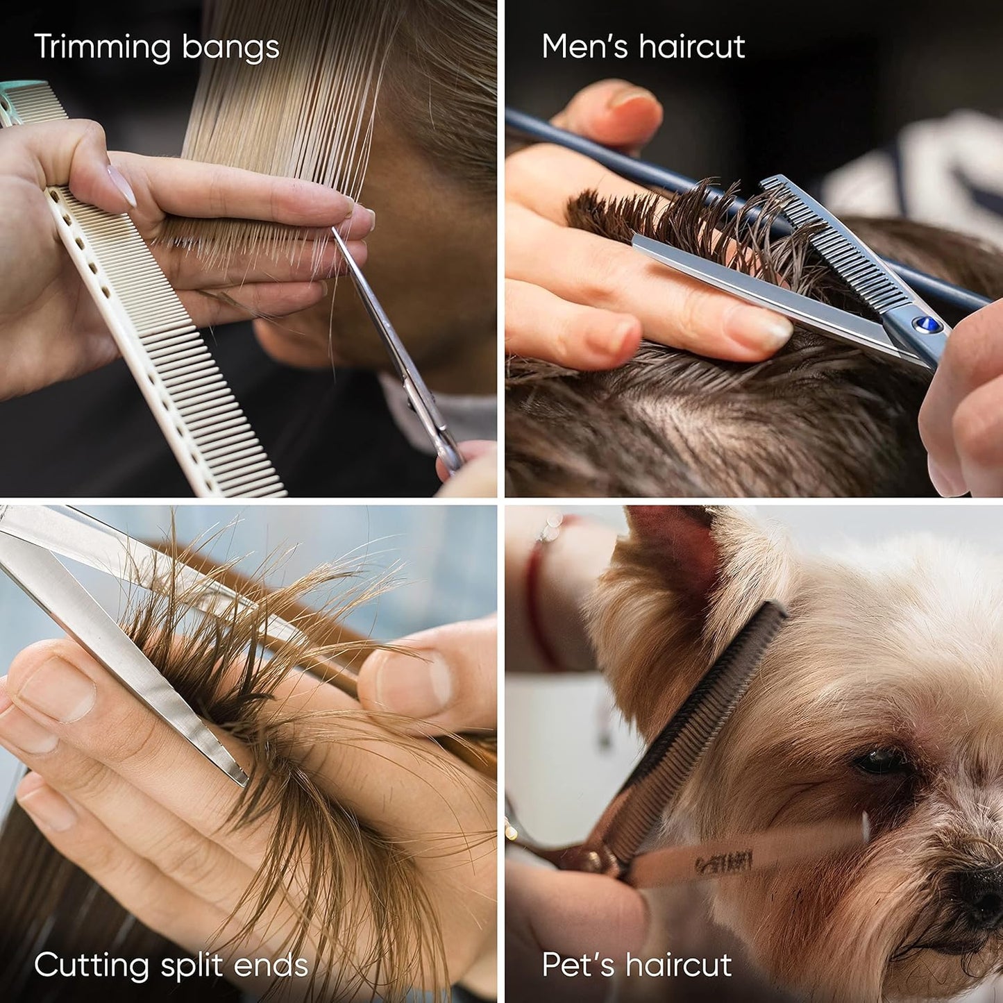 Miura Professional Hair Cutting Scissors for Women, Men and Hairdressers | 6.5” Stainless Steel Barber Shears for Hair Cutting and Thinning Set