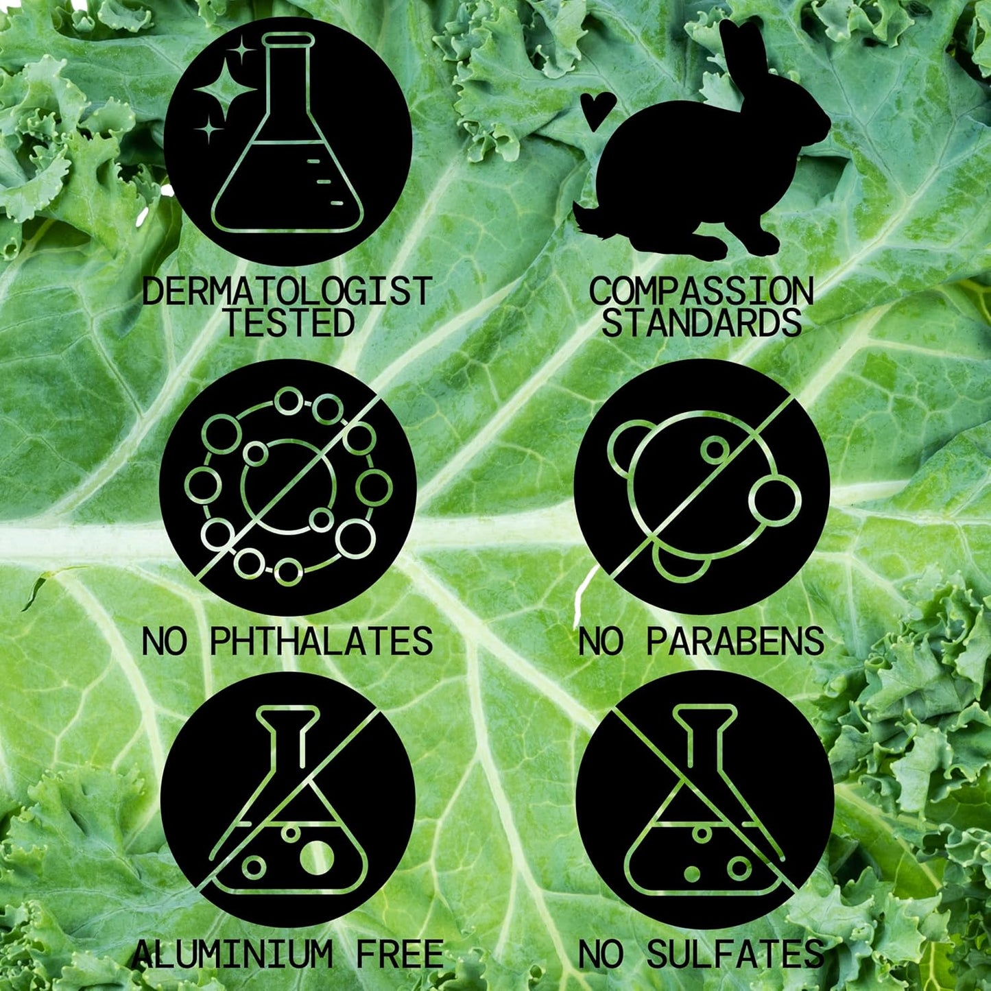 Pacifica Kale Yeah! Redness Rehab Serum – Niacinamide & Super Greens Face Serum to Calm Redness, Minimize Pores & Oil, Soothing Anti-Redness for Oily/Combination Skin Vegan Dermatologist Tested