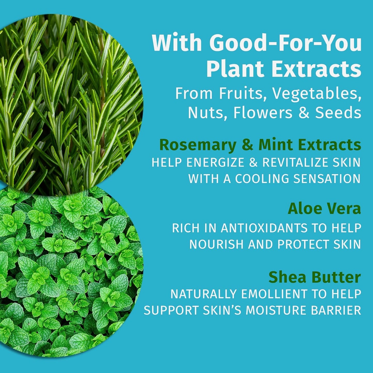 Hempz Body Moisturizer, Rosemary & Mint 17 Oz – Hydrating Lotion Rich with Minerals, Vitamin C, & Hempseed Oil to Nourish & Repair Extremely Dry or Sensitive Skin, for Women & Men