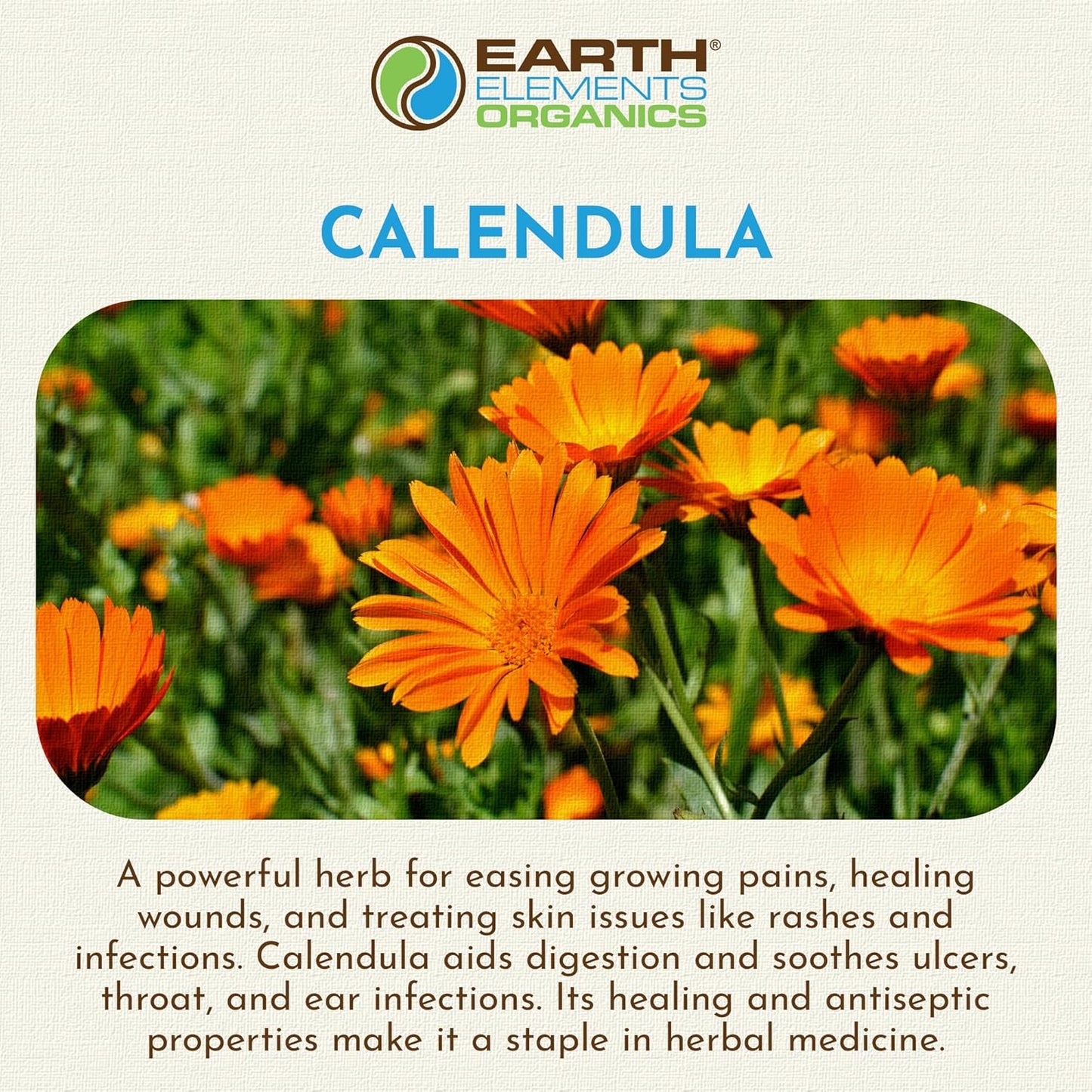 Calendula Oil with Sunflower Oil, Herbal Remedy for Cuts, Scrapes, Rashes, Chapped or Damaged Skin, Ideal for Irritated Areas, Organic Skincare for All Skin Types - 1 fl oz