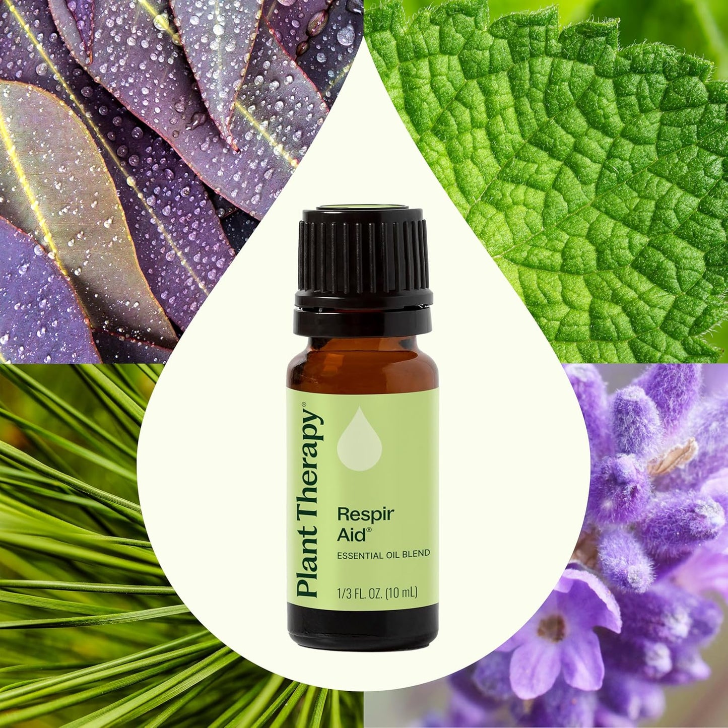 Plant Therapy Respir Aid Essential Oil Blend 10 mL (1/3 oz) Sinus, Airway and Congestion Clearing Oil Blend, 100% Pure, Undiluted, Natural Aromatherapy, Therapeutic Grade